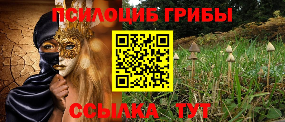 Псилоцибиновые грибы MAGIC MUSHROOMS Гусиноозёрск